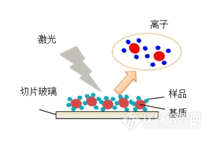 浙江賢箭科學(xué)儀器有限公司